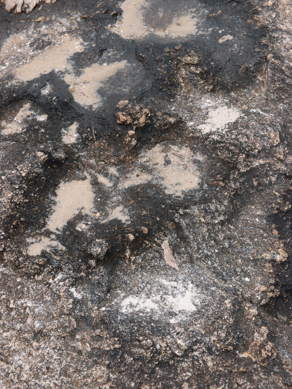 Praia de Itaquatiara